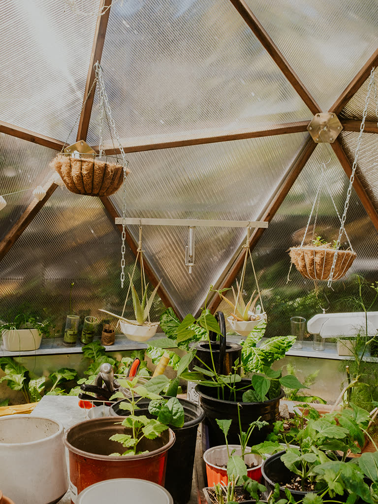 Inside the Greenhouse