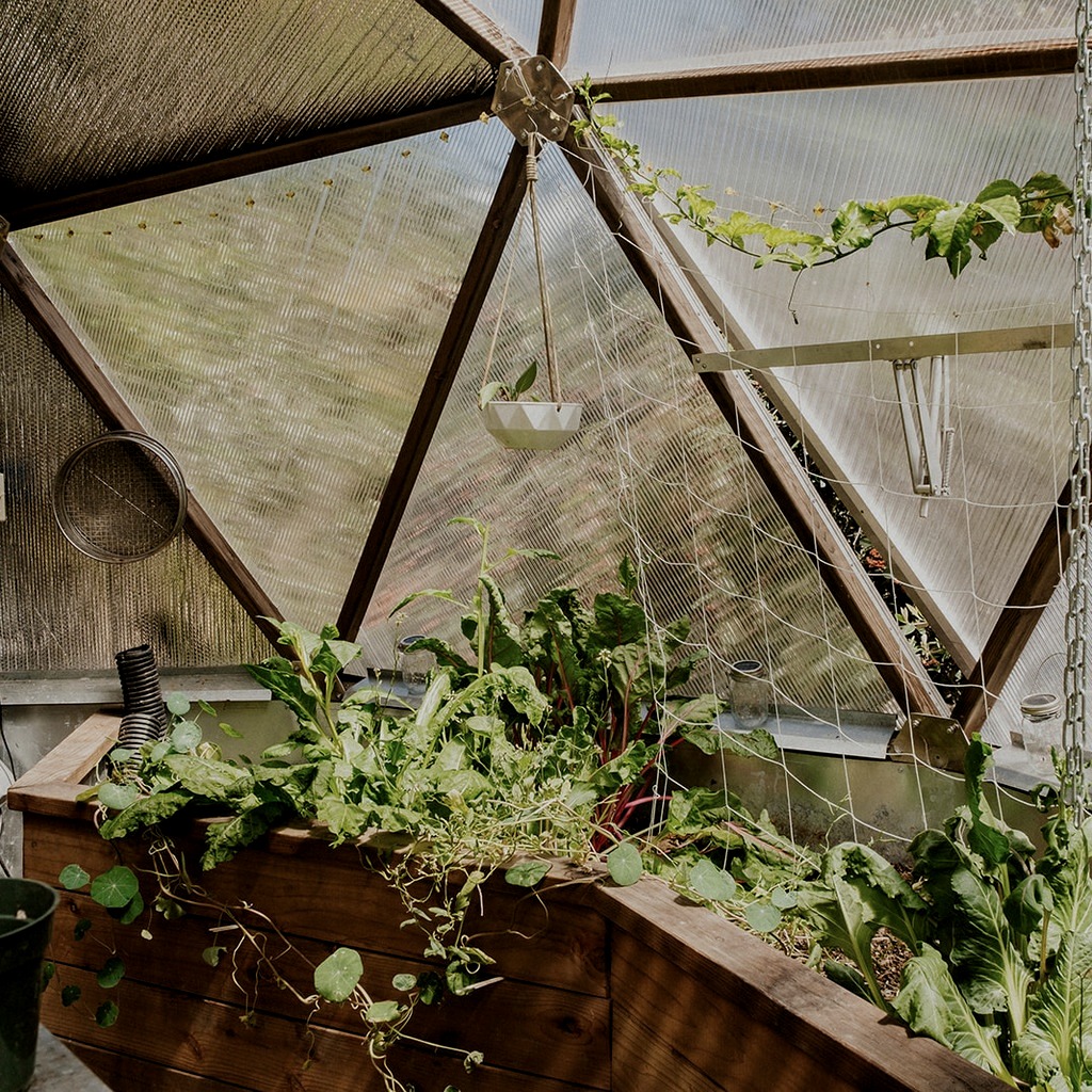 Inside the Greenhouse