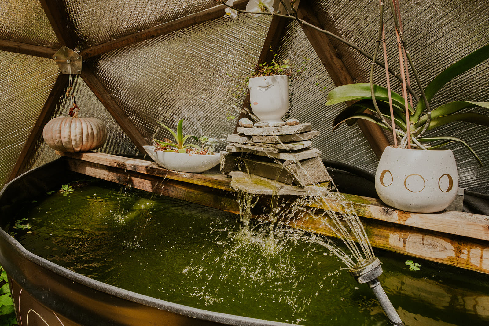 The pond and fountain